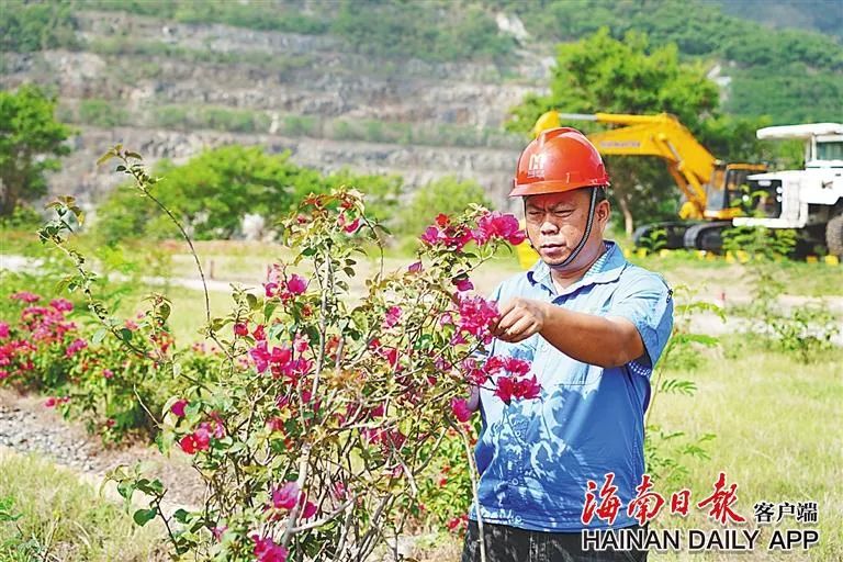 海南这座矿山，为何这么绿？4.jpg